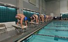 Swimming vs Bentley  Wheaton College Swimming vs Bentley. - Photo By: KEITH NORDSTROM : Wheaton, Swimming, Bentley
